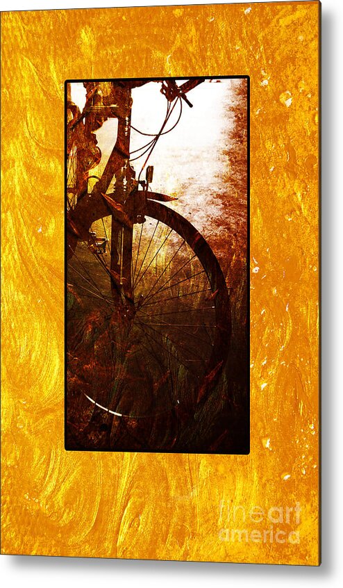 Bicycle Metal Print featuring the photograph Bicycle by Randi Grace Nilsberg
