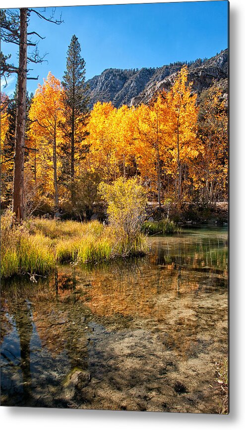 River Metal Print featuring the photograph Bishop Creek - Fall by Cat Connor