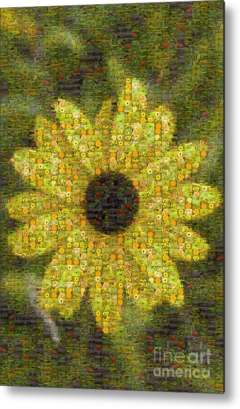 Flower Metal Print featuring the photograph Blackeyed Suzy Mosaic by Darleen Stry