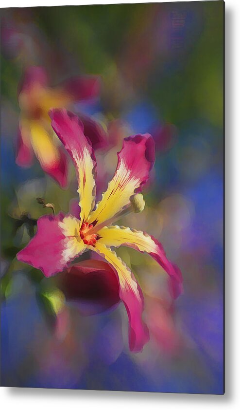 Hot Pink Metal Print featuring the photograph Bloomin Hong Kong Orchid by Scott Campbell
