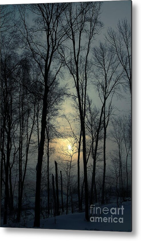 Winter Metal Print featuring the photograph Blue Daybreak by Karol Livote