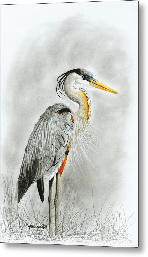 Heron Metal Print featuring the drawing Blue Heron 3 by Phyllis Howard