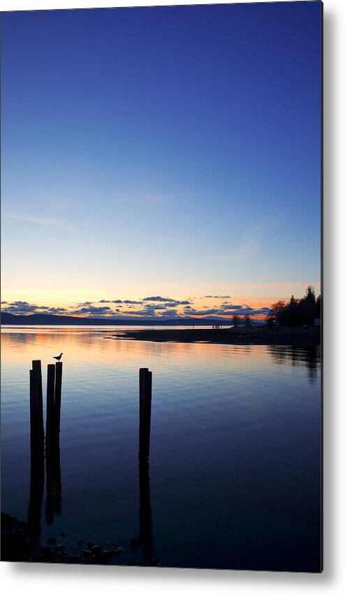  Water Metal Print featuring the photograph Blue Myrtle by Darren Bradley