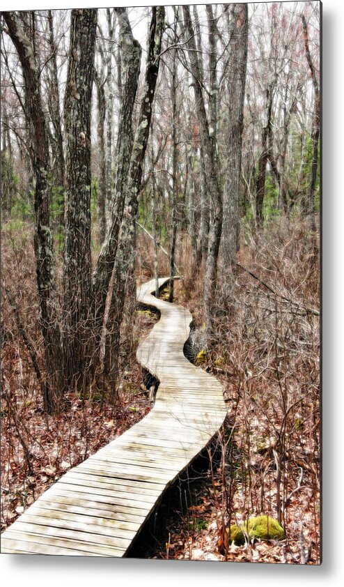 Forest Metal Print featuring the photograph Boardwalk Through the Woods by Brooke T Ryan