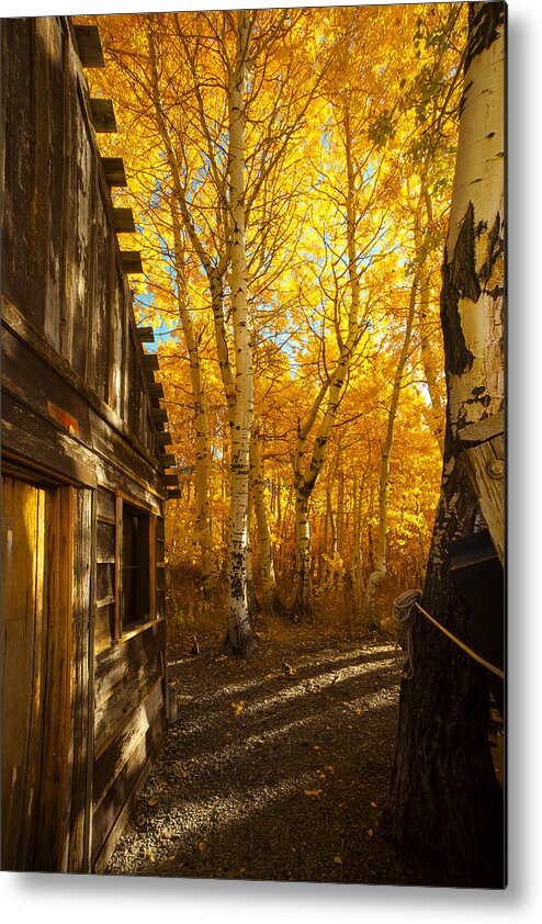 Boat House Among The Autumn Leaves Metal Print featuring the photograph Boat House Among The Autumn Leaves by Jerry Cowart