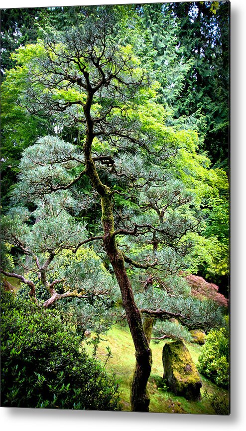 Bonsai Metal Print featuring the photograph Bonsai Tree by Athena Mckinzie