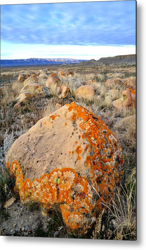 Book Cliffs Metal Print featuring the photograph Book Cliffs 12 by Ray Mathis