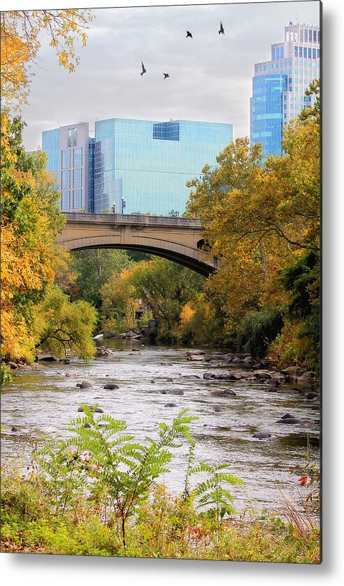 Landscape Metal Print featuring the photograph Brandywine Creek by Trina Ansel