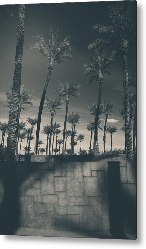 Palm Trees Metal Print featuring the photograph Breaking Down Walls by Laurie Search