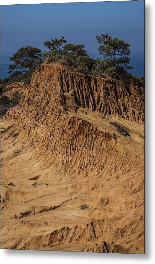 Photography Metal Print featuring the photograph Broken Hill Torrey Pines 1 by Lee Kirchhevel