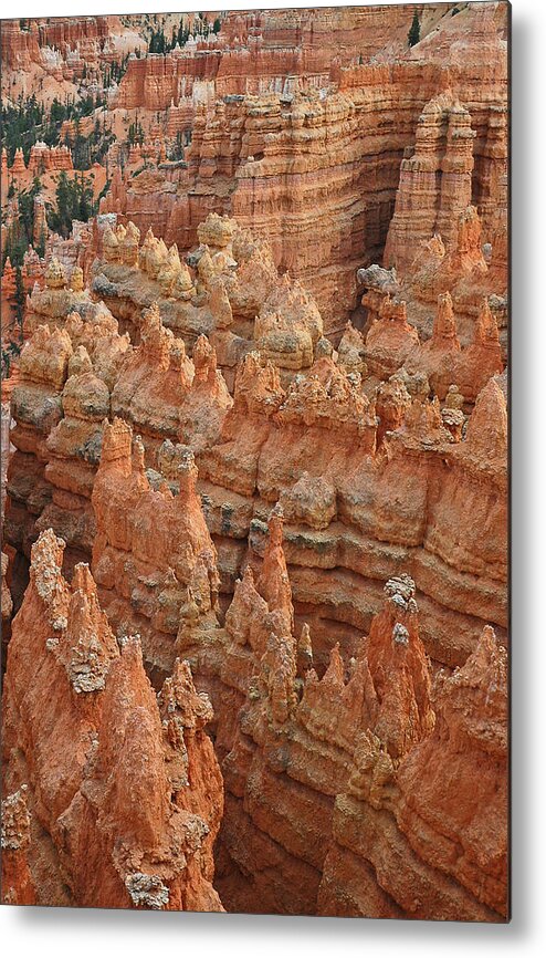 Bryce Canyon Photographs Metal Print featuring the photograph Bryce Canyon National Park Formations with Trees by Bruce Gourley