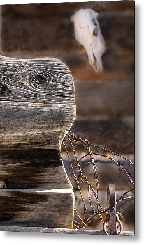 Cow Skull Metal Print featuring the photograph Buckboard and Barbed wire by Gary Warnimont