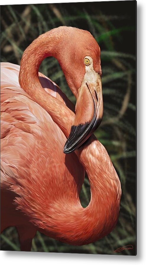 Bird Metal Print featuring the digital art Caribbean Flamingo by Owen Bell