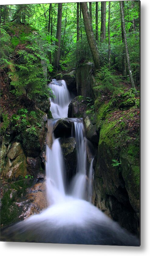 Cascading Metal Print featuring the photograph Cascading Brook by White Mountain Images