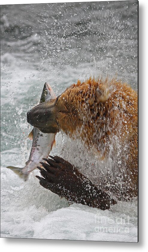 Brown Metal Print featuring the photograph Catch of the Day by Bill Singleton