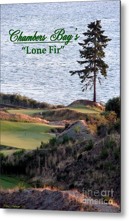 2015 Us Open Metal Print featuring the photograph Chambers Bay's Lone Fir - Chambers Bay Golf Course by Chris Anderson