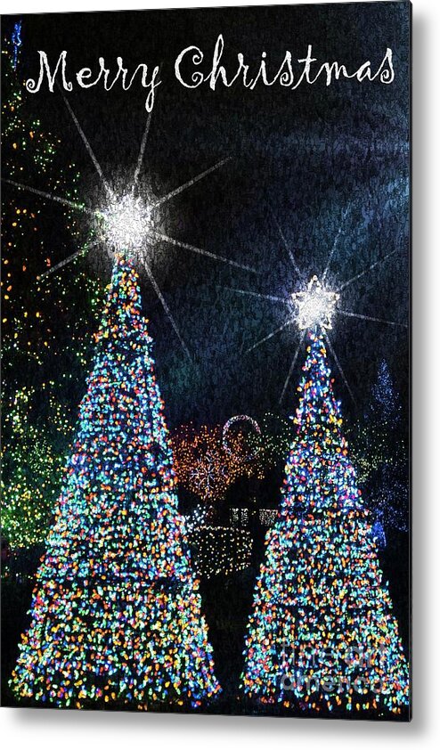 Greeting Cards Metal Print featuring the photograph Christmas Trees by Lilliana Mendez