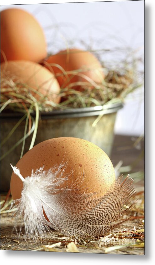 Background Metal Print featuring the photograph Closeup of brown eggs with straw by Sandra Cunningham