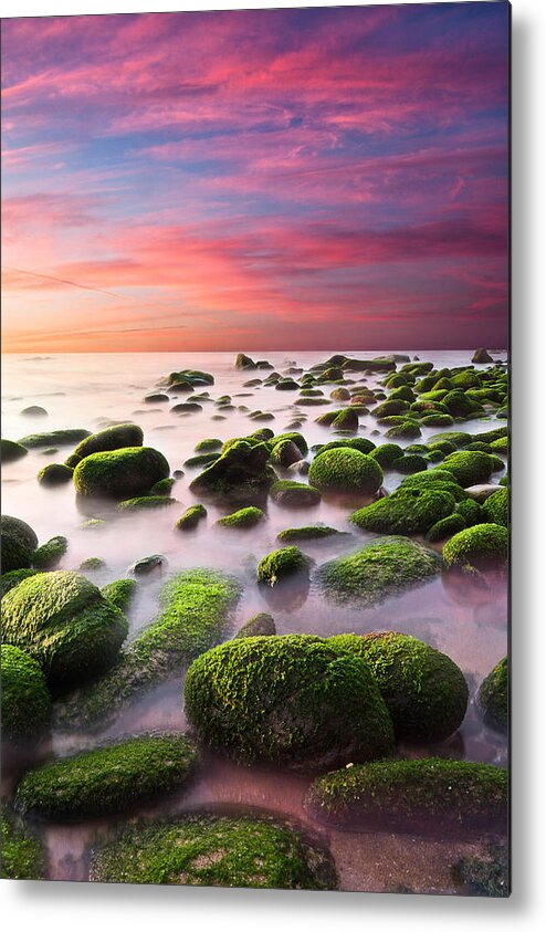 Beach Metal Print featuring the photograph Color Harmony by Jorge Maia