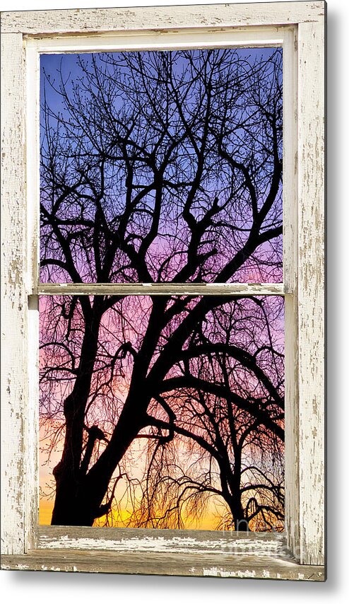 Window Metal Print featuring the photograph Colorful Tree White Farm House Window Portrait View by James BO Insogna