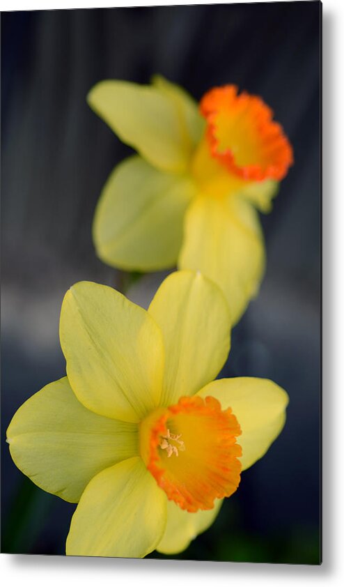 Easter Metal Print featuring the photograph Come Hear the Good News by Wanda Brandon