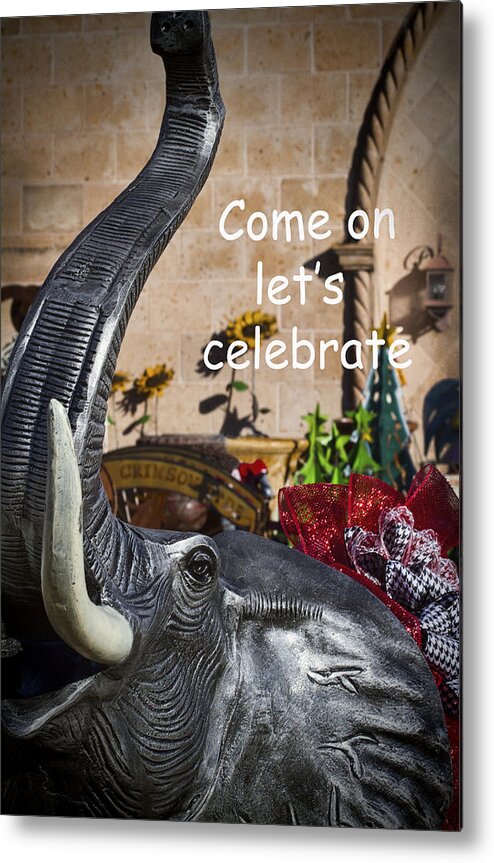 Come On Let's Celebrate Metal Print featuring the photograph Come On Let's Celebrate by Kathy Clark