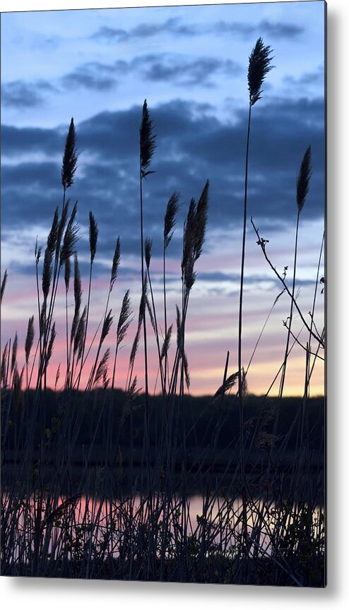 Water Metal Print featuring the photograph Connecticut Sunset with Reeds Series 4 by Marianne Campolongo