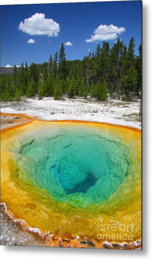 Morning Glory Pool Metal Print featuring the photograph Convolutus by Bill Singleton