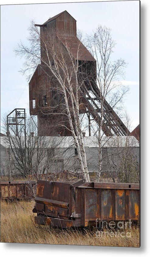 Copper Metal Print featuring the photograph Copper Boom by Jim Simak