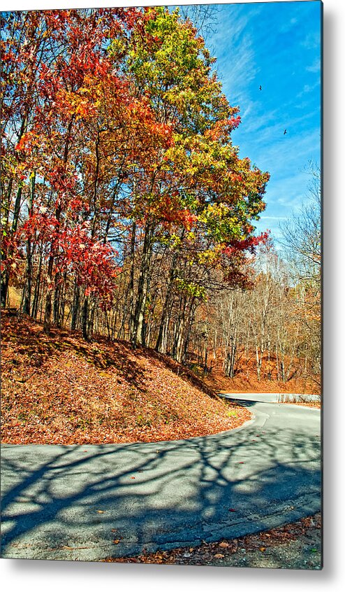 West Virginia Metal Print featuring the photograph Country Curves and Vultures by Steve Harrington