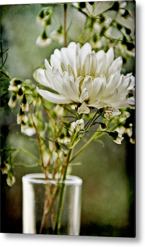 Daisy Metal Print featuring the photograph Daisy Mum 1 by Angelina Tamez