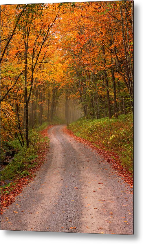Autumn Metal Print featuring the photograph Deep Autumn Forest Road by Harold Rau