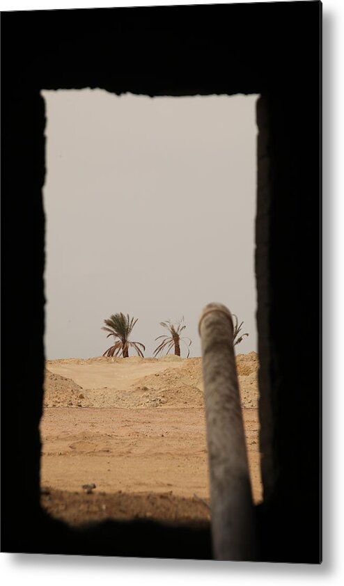 February 2015 Metal Print featuring the photograph Desert Heading by Jez C Self