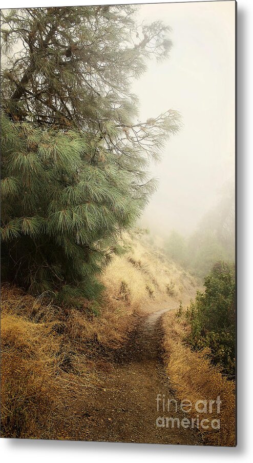 Fog Metal Print featuring the photograph There and Back Again by Ellen Cotton