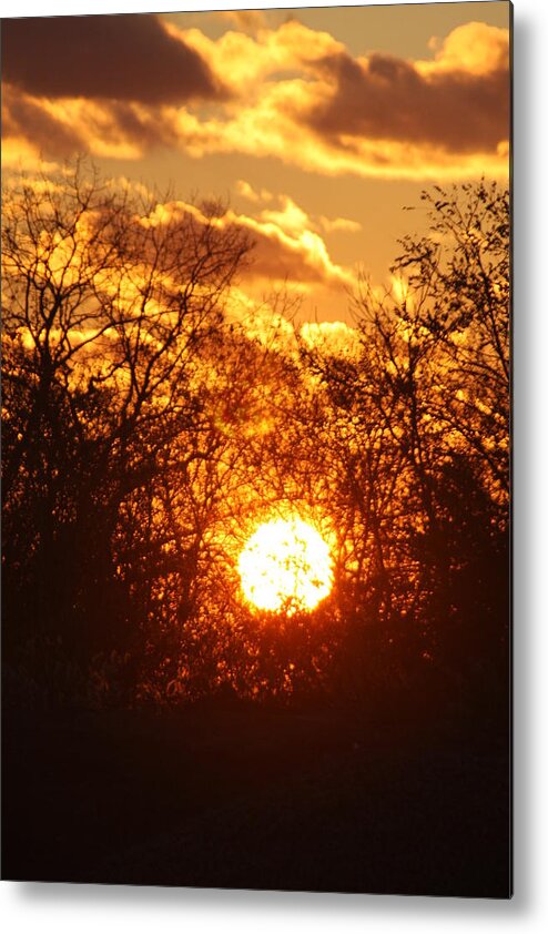 Fireball Metal Print featuring the photograph Divine Sunset by Vadim Levin