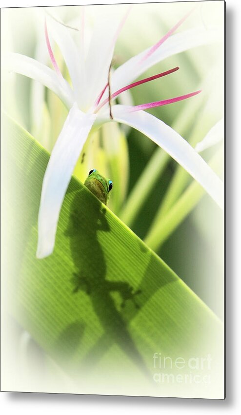Gecko Metal Print featuring the photograph Do You Mind by Ellen Cotton