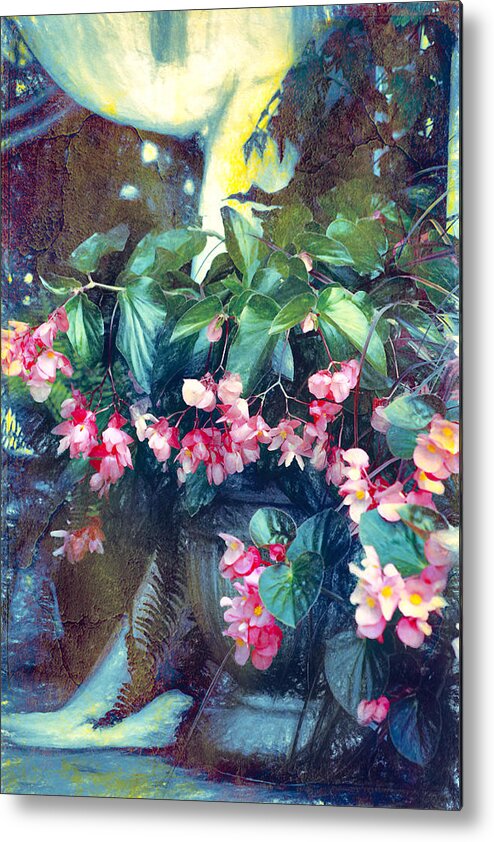 Floral Metal Print featuring the photograph Dragonfly Begonias by John Rivera
