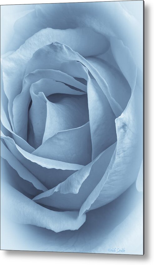 Closeup Metal Print featuring the photograph Dreamy Blue by Heidi Smith