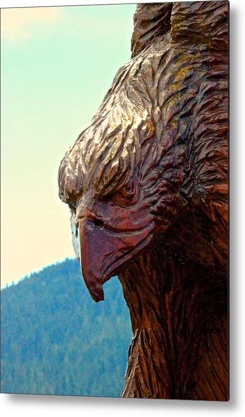 Eagle On A Hot Summer Day Metal Print featuring the photograph Eagle by Brian Sereda