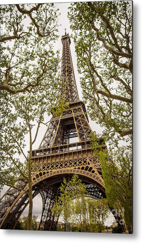Architecture Metal Print featuring the photograph Eiffel Tower by Carlos Caetano