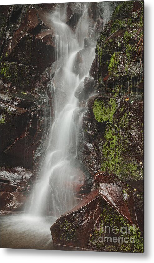 Landscape Metal Print featuring the photograph El Salto Waterfall by Iris Greenwell