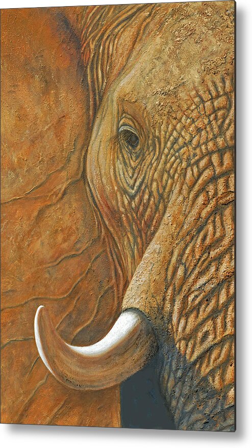 Elephant Print Metal Print featuring the painting Elephant Matriarch portrait close up by David Clode