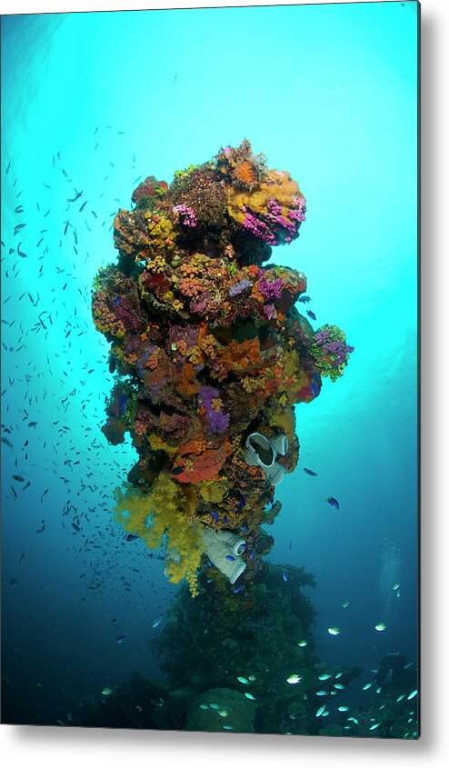 Underwater Metal Print featuring the photograph Encrusted Gun Turret by Apsimo1