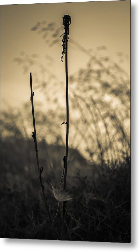 Art Metal Print featuring the photograph End of the day by Sergey Simanovsky