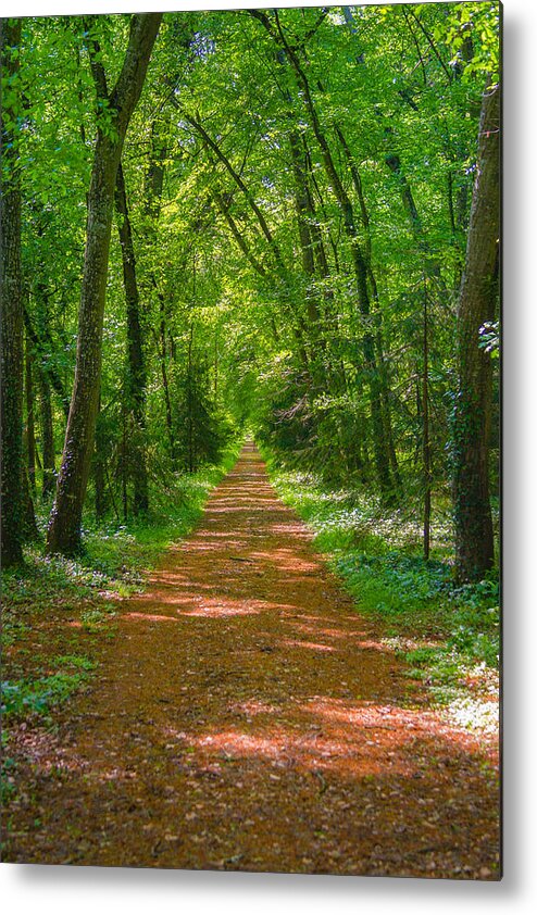 Forest Metal Print featuring the photograph Endless Trail into the Forest by Nila Newsom