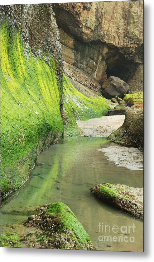 Devil's Churn Metal Print featuring the photograph Entrance to Devil's Churn by Jeanette French