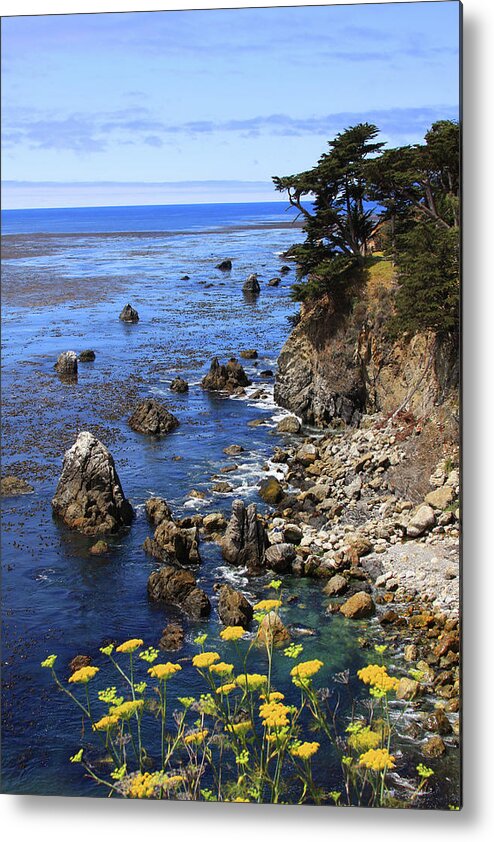 Esalen Metal Print featuring the photograph Esalen by James Knight