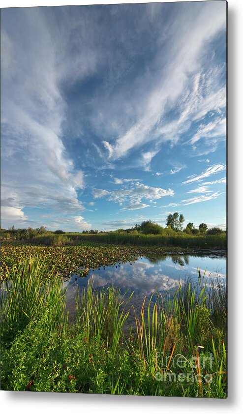 00559203 Metal Print featuring the photograph Clouds In the Snake River by Yva Momatiuk John Eastcott
