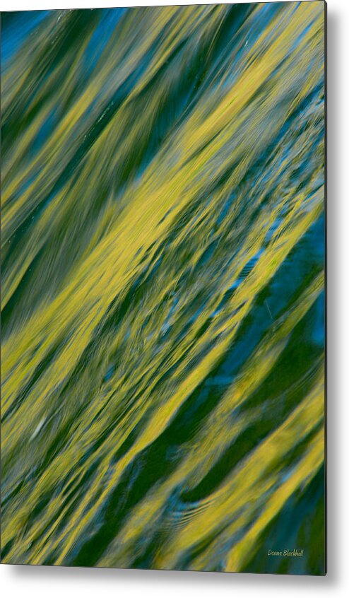 Water Metal Print featuring the photograph Evening Is Coming by Donna Blackhall