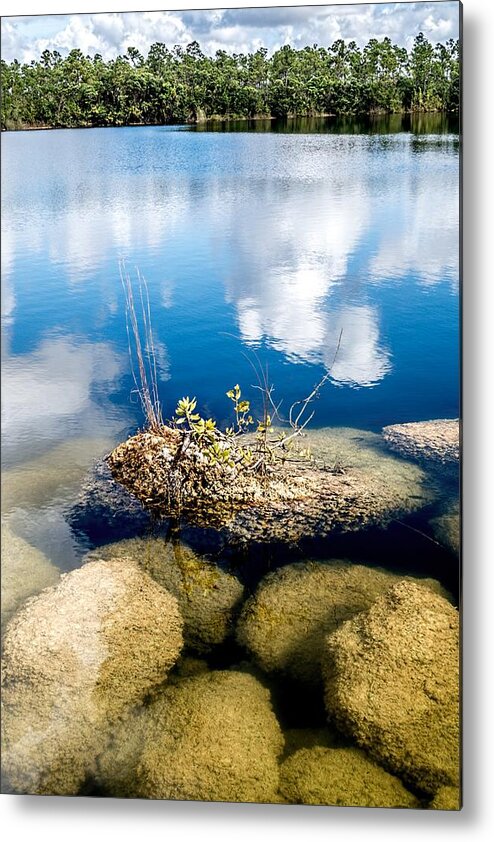 Everglades Metal Print featuring the photograph Everglades 0343 by Rudy Umans